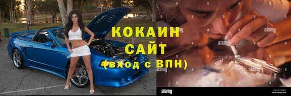 дживик Алексин