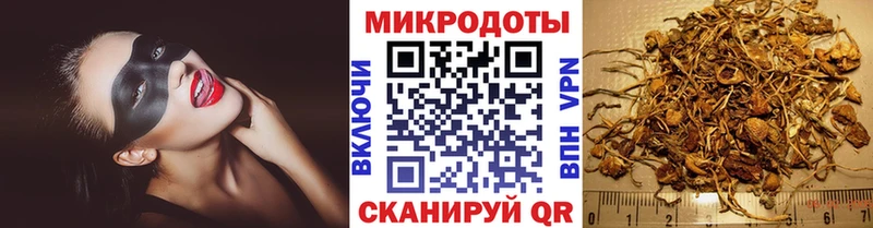 наркошоп  Дыгулыбгей  Галлюциногенные грибы GOLDEN TEACHER 