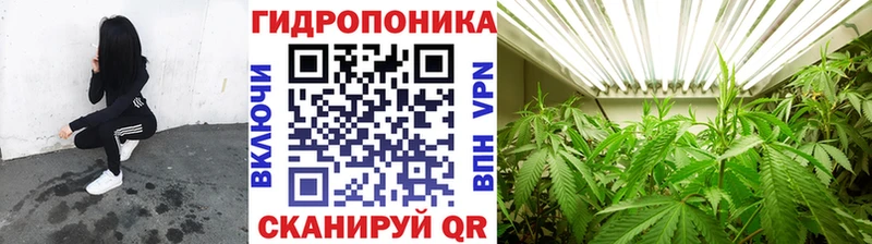 Каннабис White Widow  Дыгулыбгей 